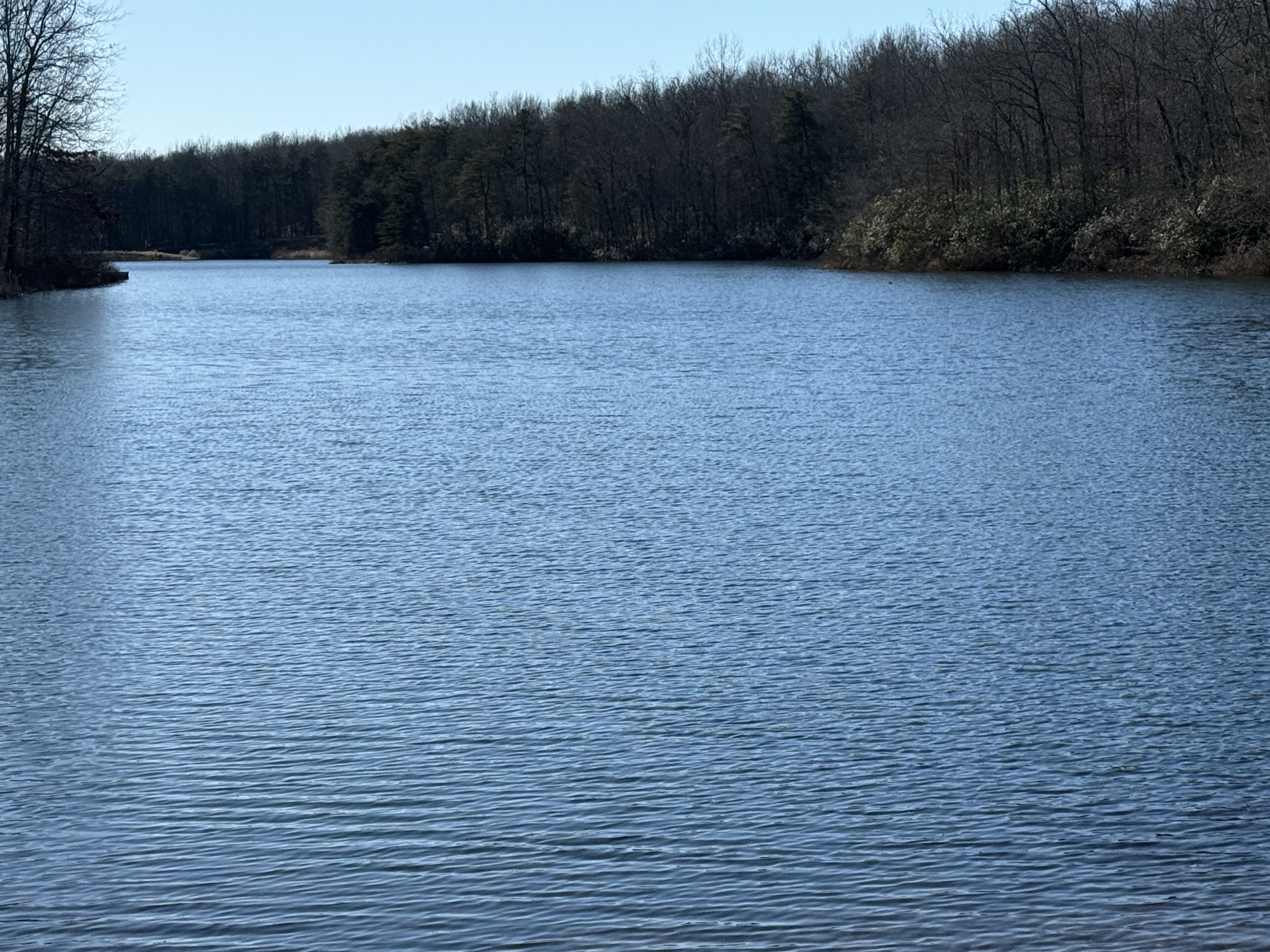 107 Chickory Lane Monteagle TN 37356