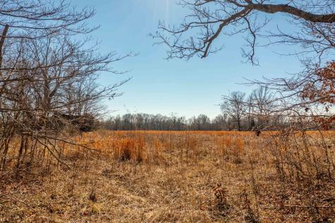 0 York Road Pleasant View TN 37146