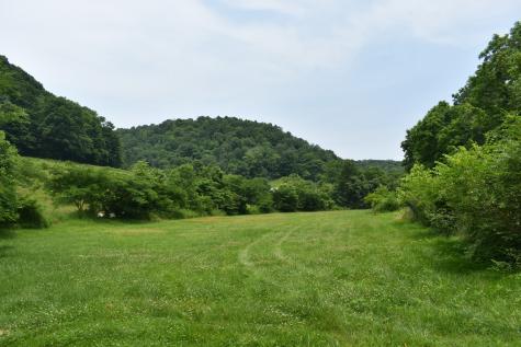 0 Nascar Lane Pleasant Shade TN 37145