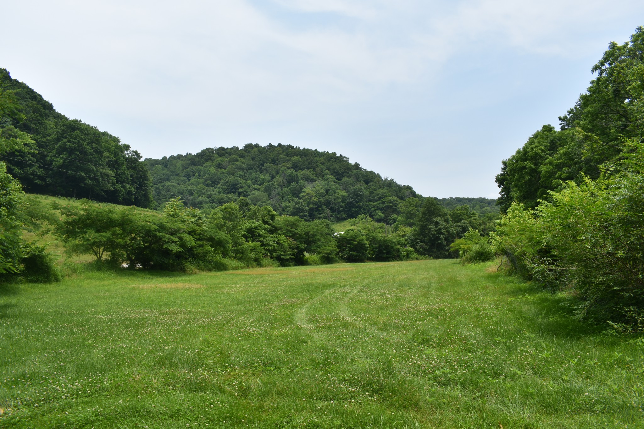 0 Nascar Lane Pleasant Shade TN 37145