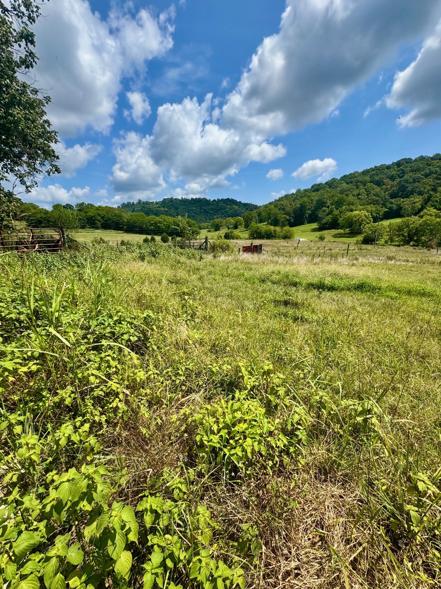 0 Duke Hollow Lane Carthage TN 37030