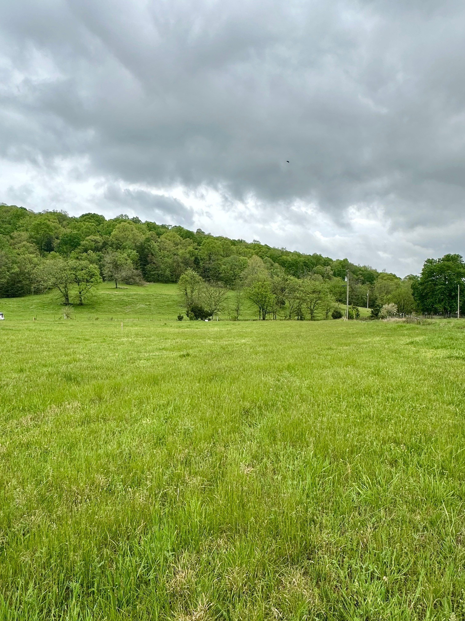 0 Duke Hollow Lane Carthage TN 37030