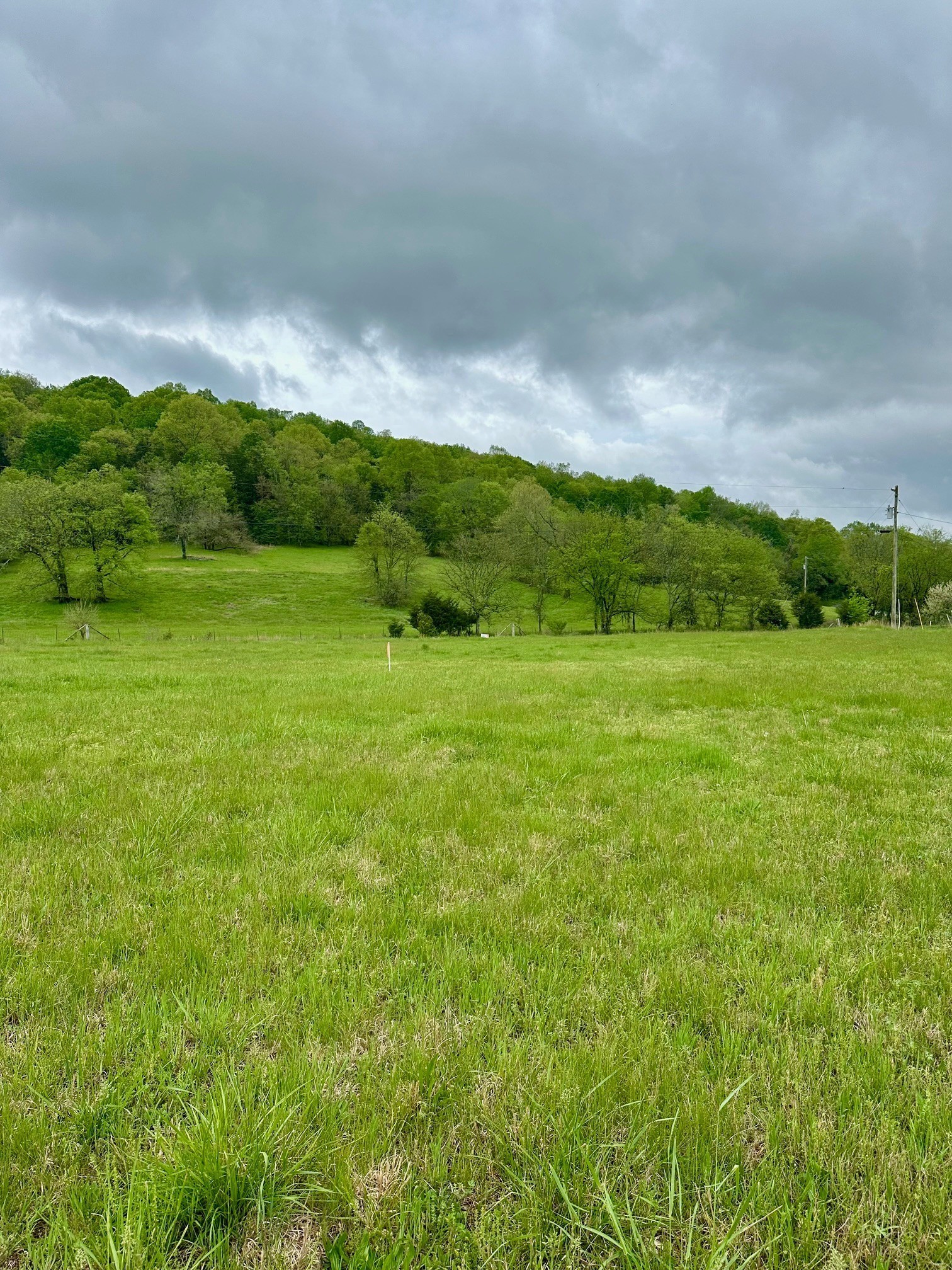 0 Duke Hollow Lane Carthage TN 37030