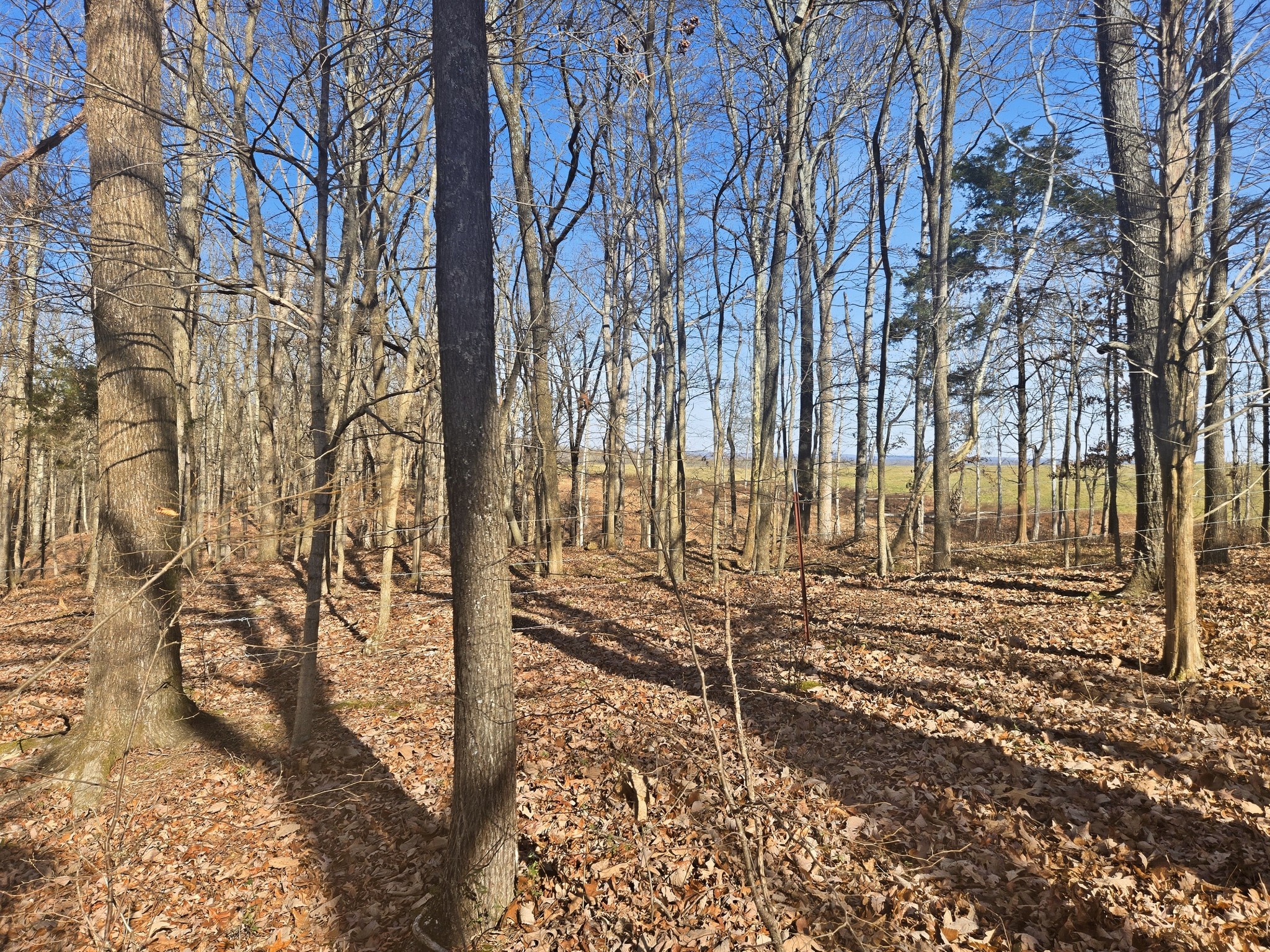 0 Buckeye Road Cumberland City TN 37050