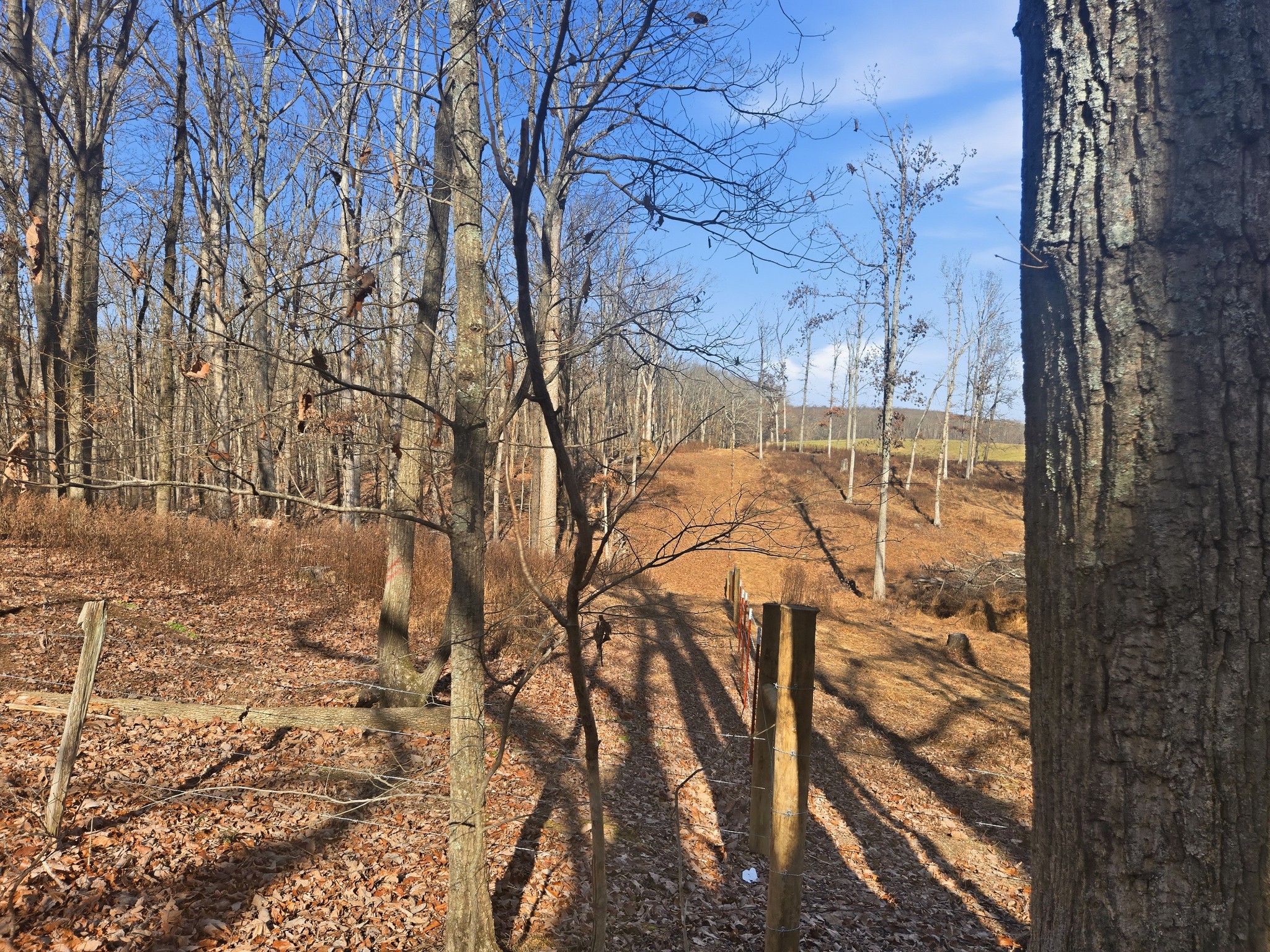 0 Buckeye Road Cumberland City TN 37050