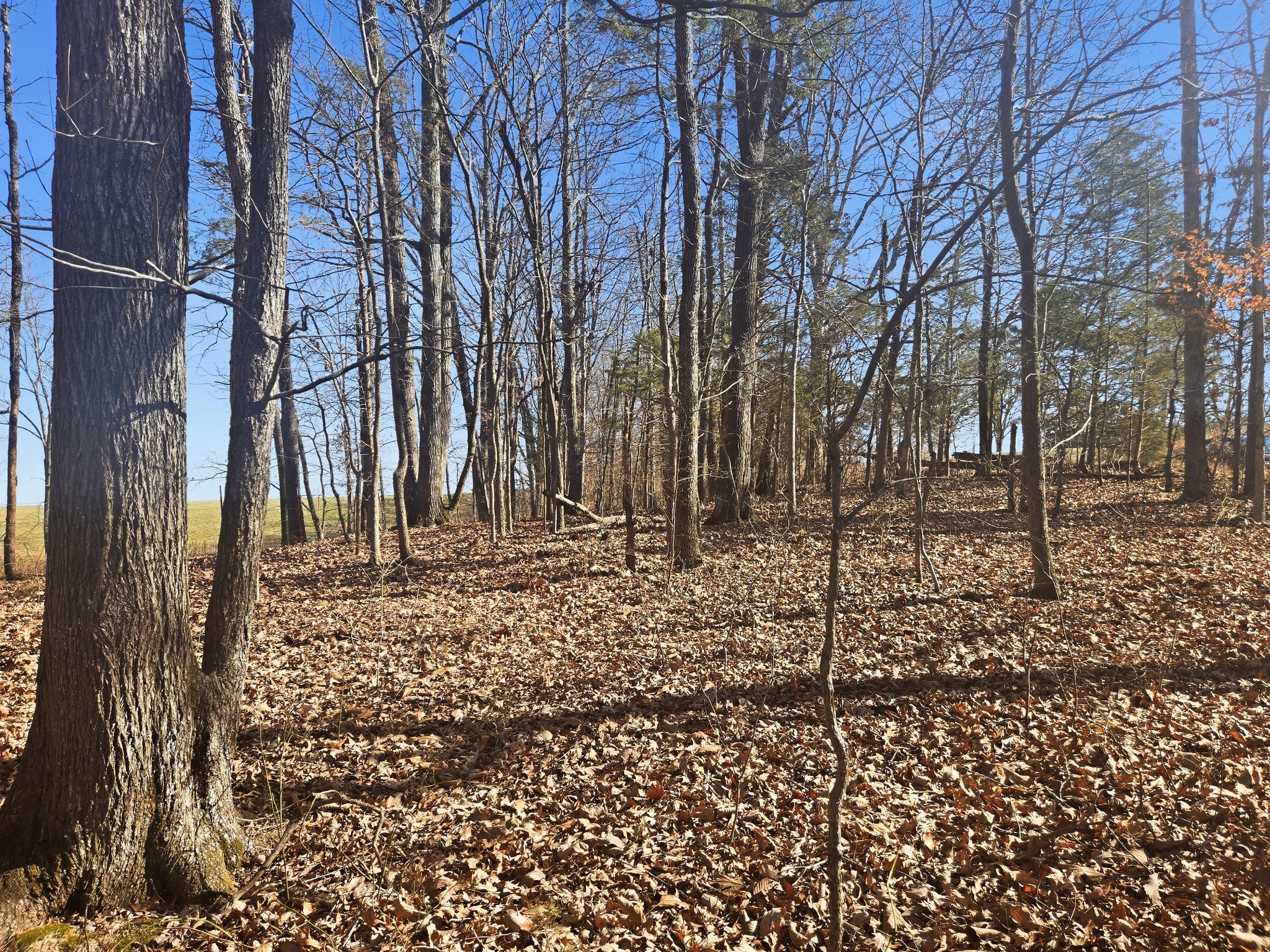 0 Buckeye Road Cumberland City TN 37050