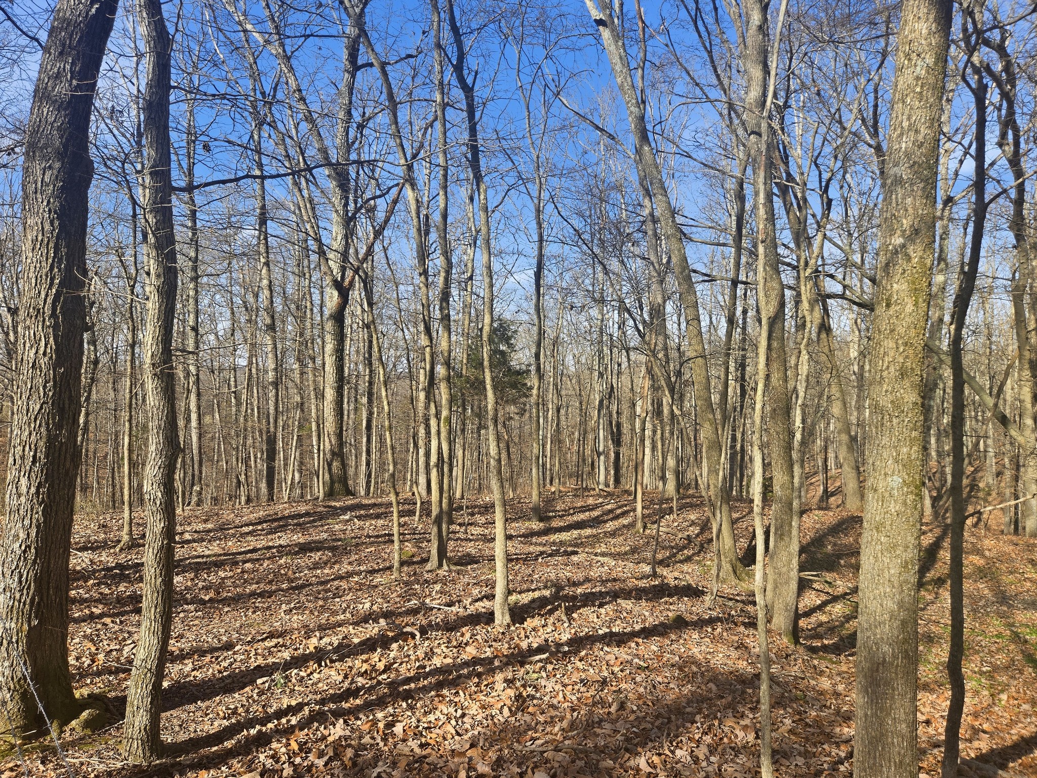 0 Buckeye Road Cumberland City TN 37050