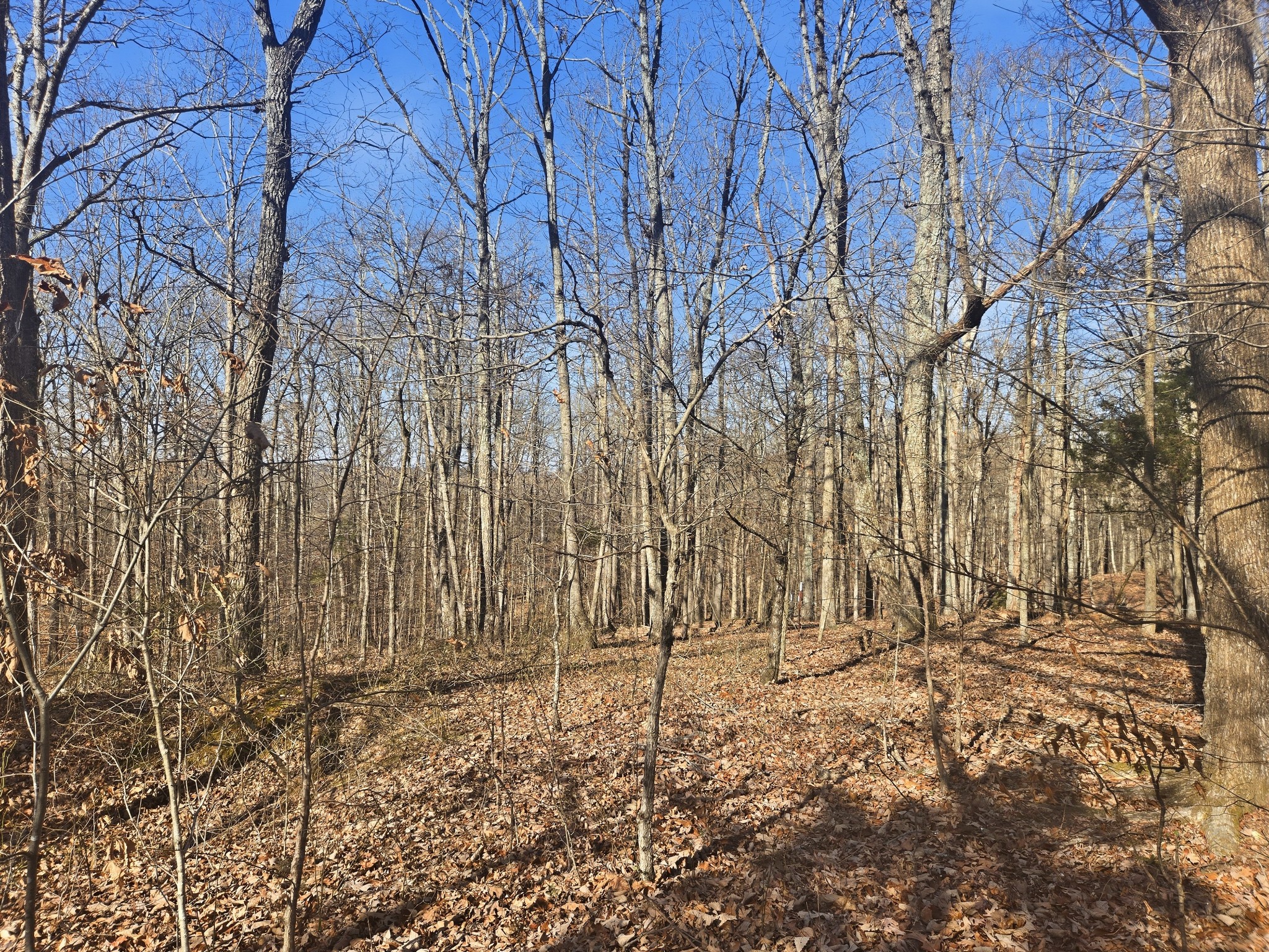 0 Buckeye Road Cumberland City TN 37050