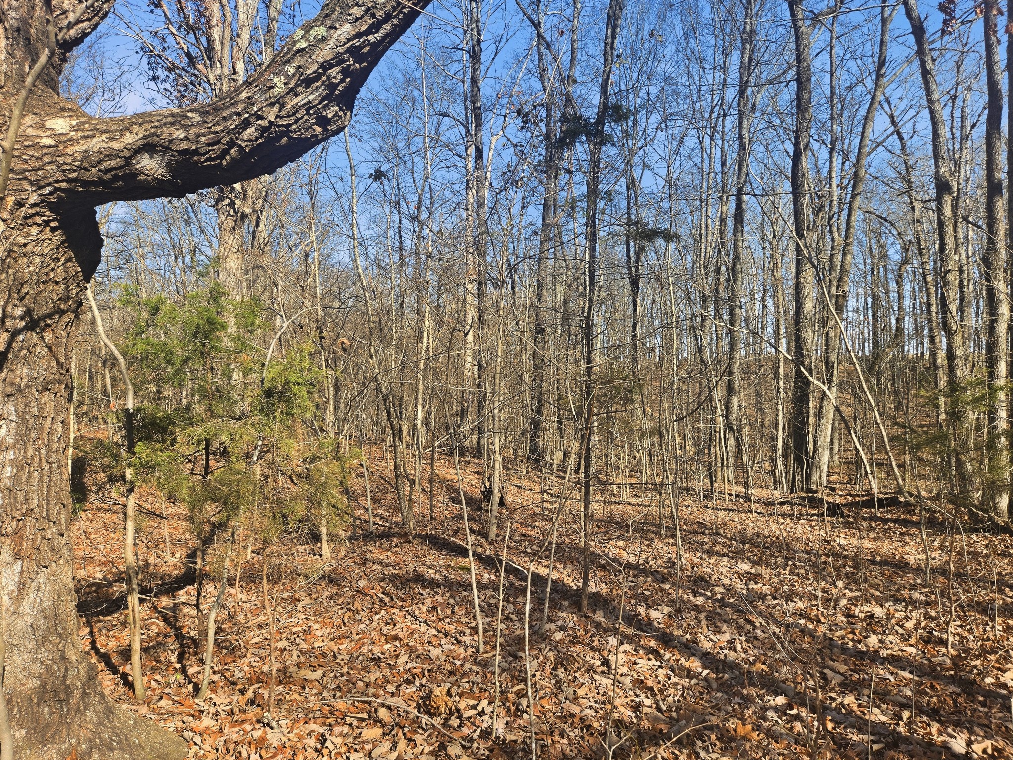 0 Buckeye Road Cumberland City TN 37050