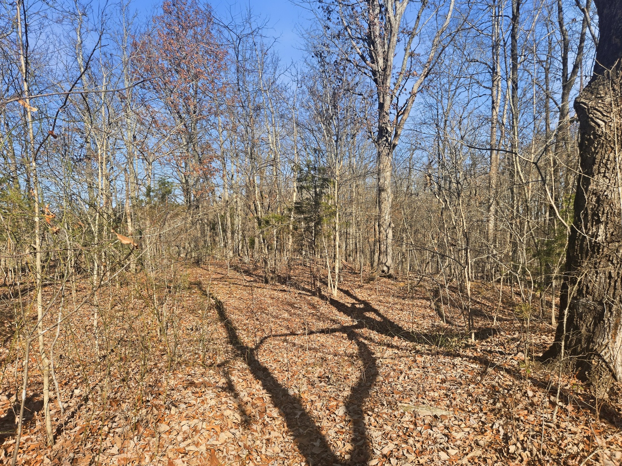 0 Buckeye Road Cumberland City TN 37050