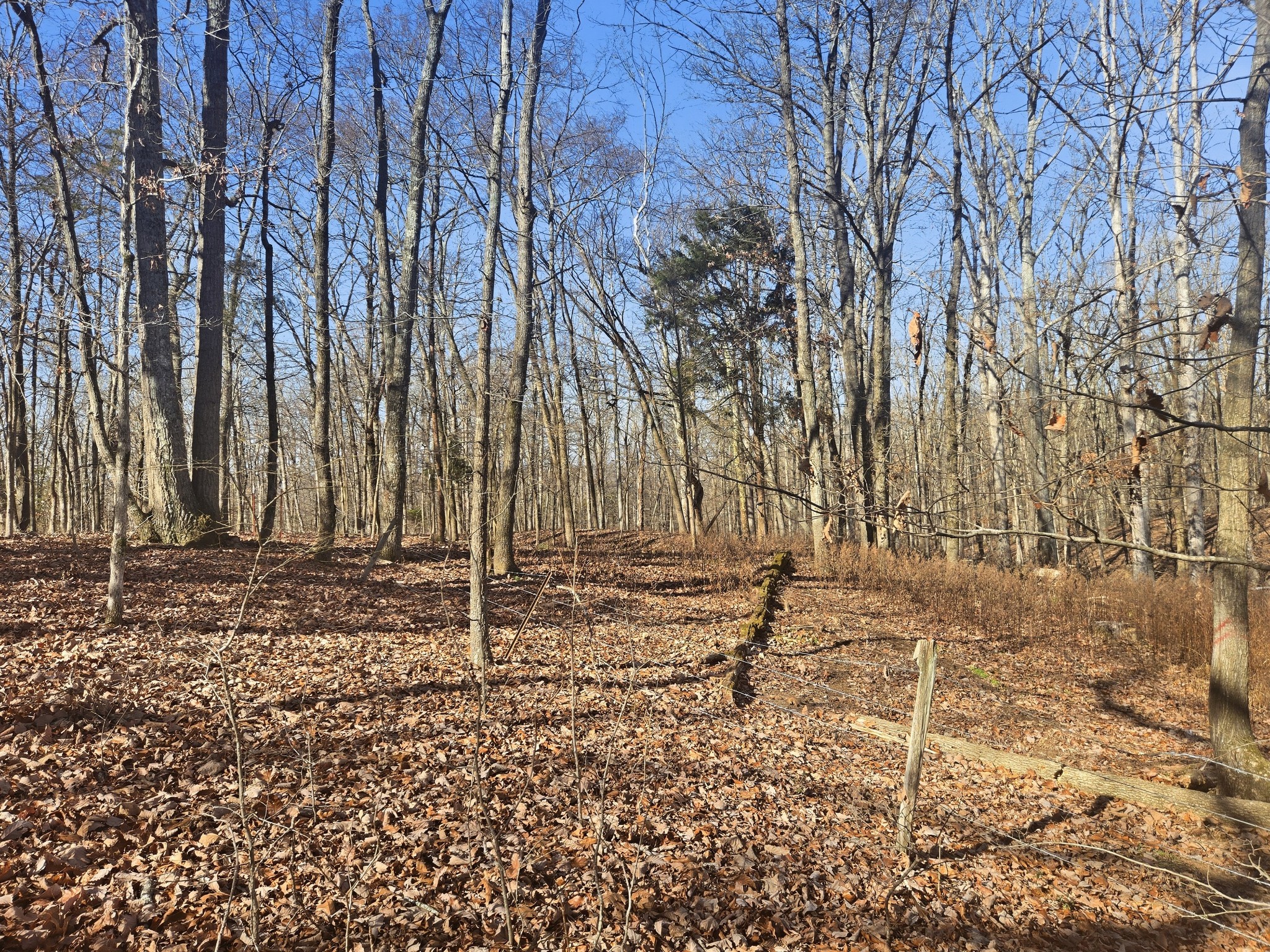 0 Buckeye Road Cumberland City TN 37050