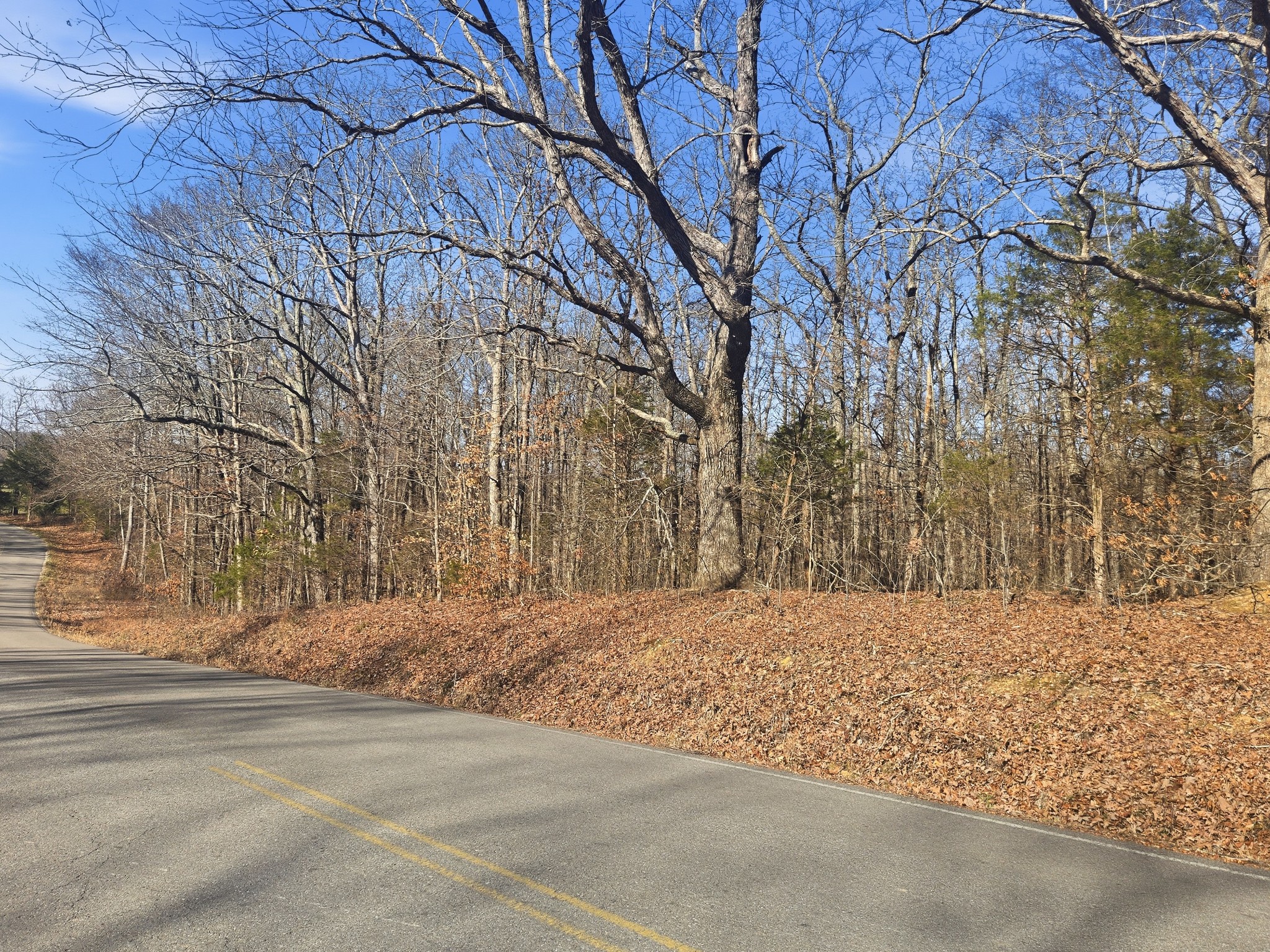 0 Buckeye Road Cumberland City TN 37050