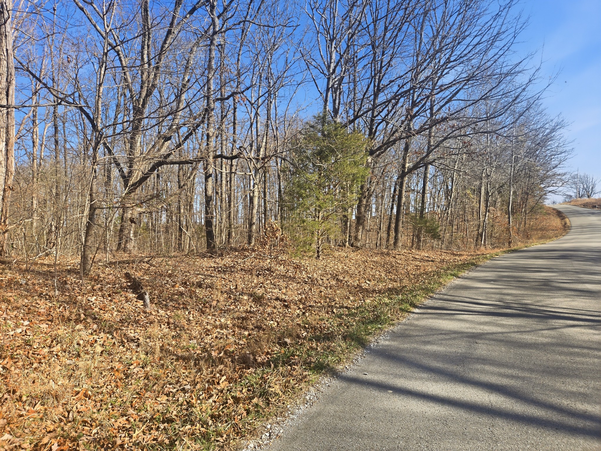 0 Buckeye Road Cumberland City TN 37050