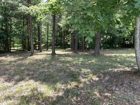 275 Lookout View Drive Jasper TN 37347