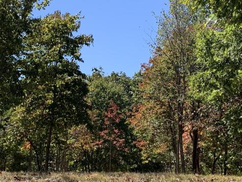 275 Lookout View Drive Jasper TN 37347