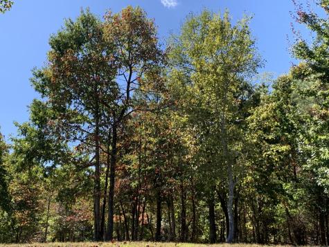 275 Lookout View Drive Jasper TN 37347