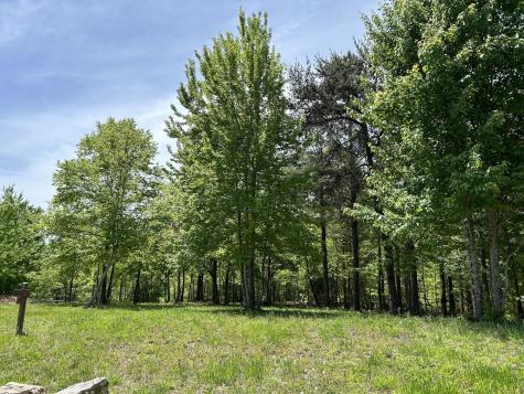 275 Lookout View Drive Jasper TN 37347