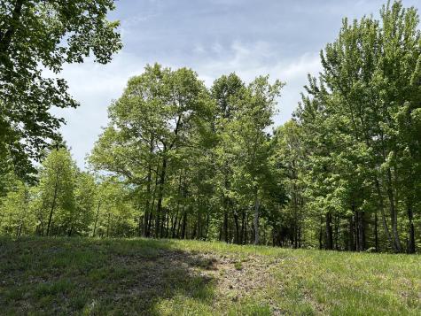 275 Lookout View Drive Jasper TN 37347