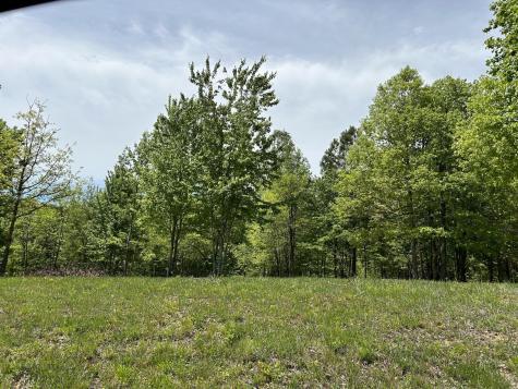 275 Lookout View Drive Jasper TN 37347