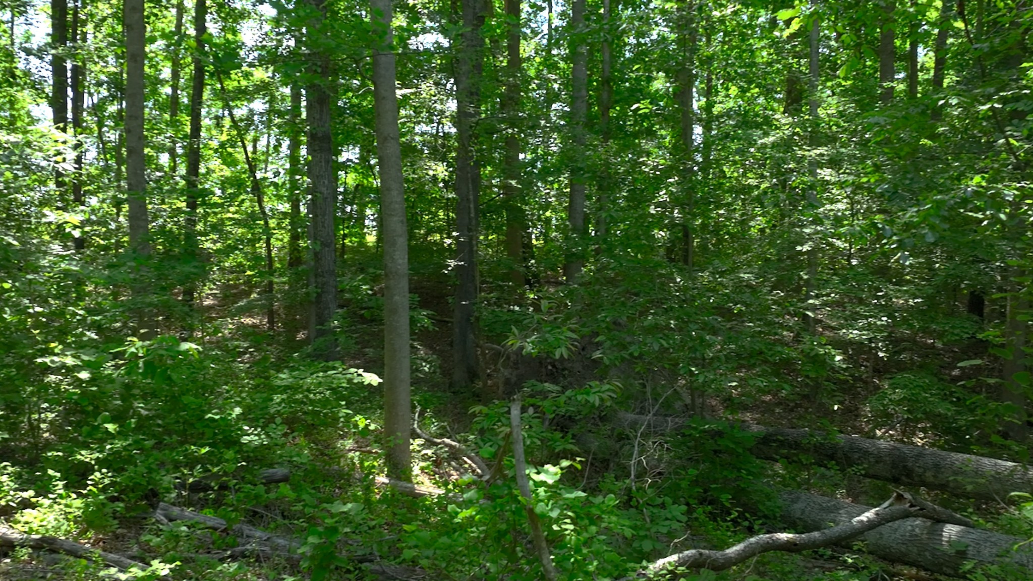 0 Oak Hill Lyles TN 37098