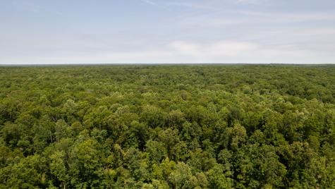 0 Oak Hill Lyles TN 37098