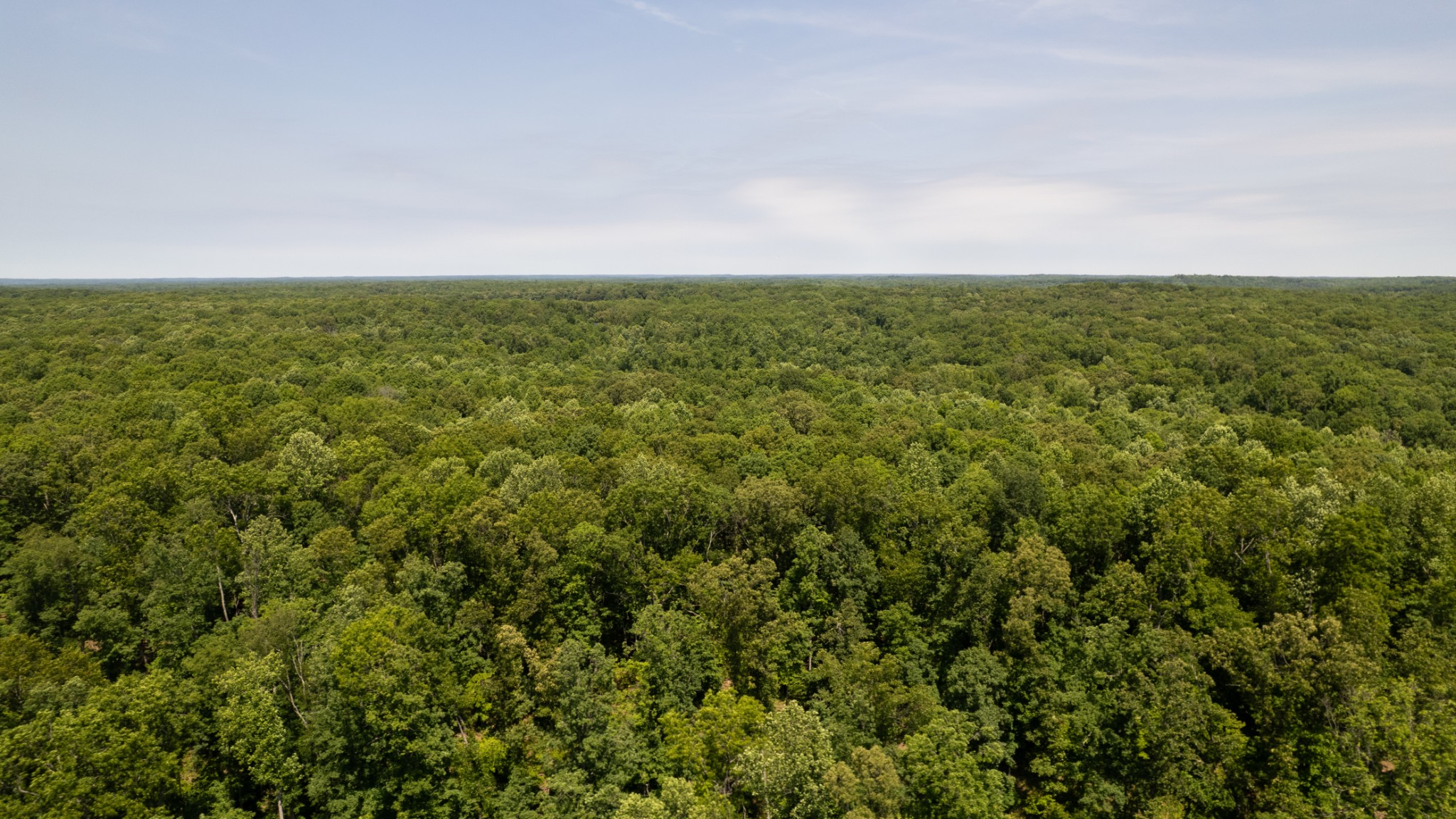 0 Oak Hill Lyles TN 37098