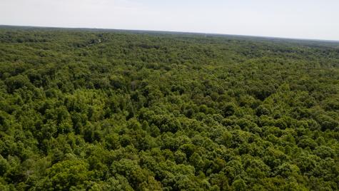 0 Oak Hill Lyles TN 37098