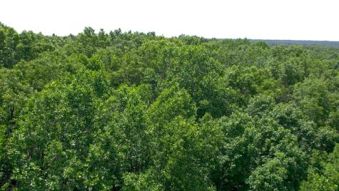0 Oak Hill Lyles TN 37098