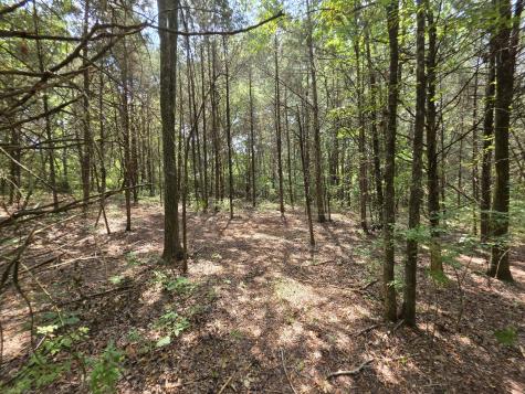0 Old Hickory Boulevard Nashville TN 37207