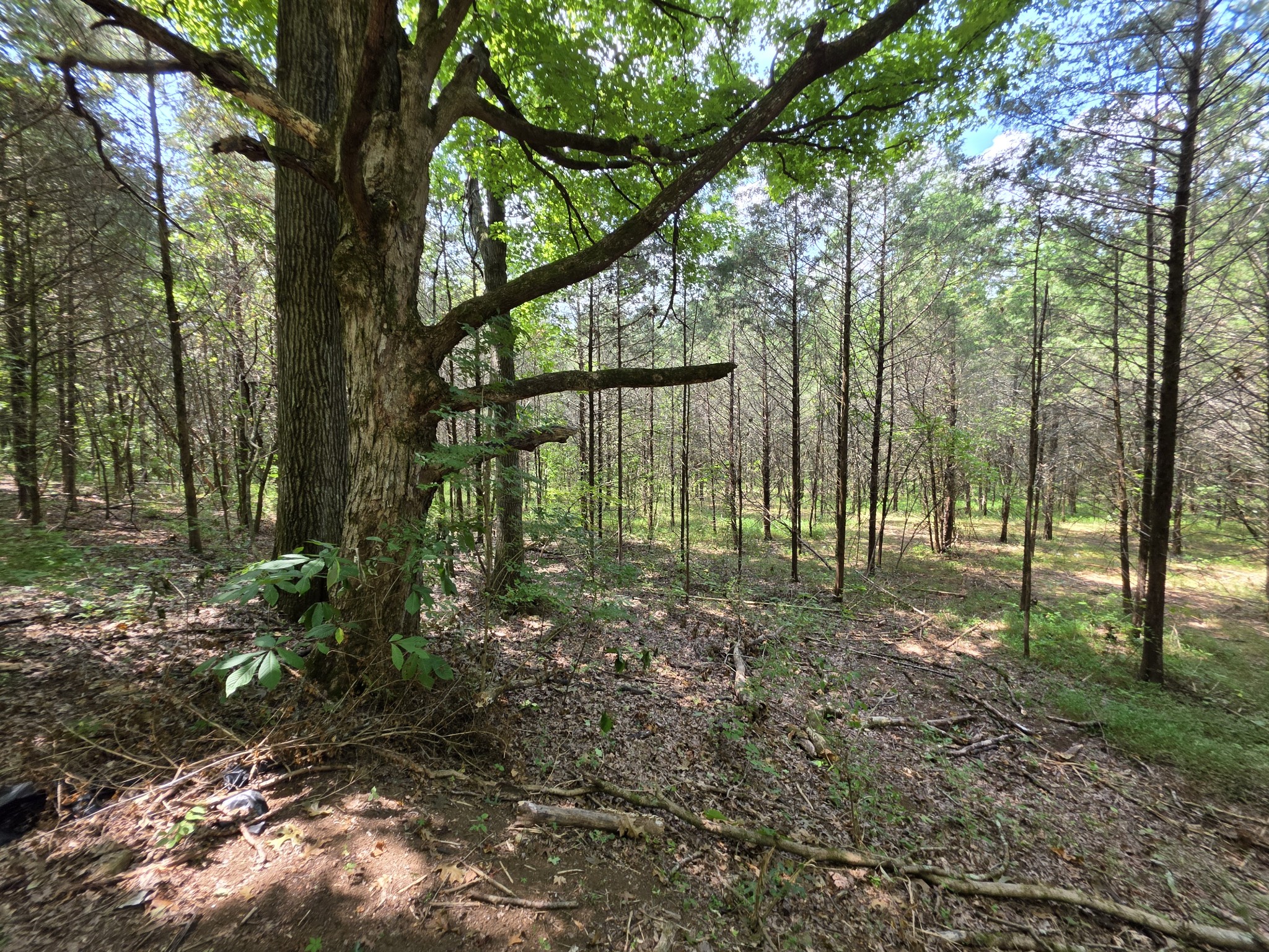 0 Old Hickory Boulevard Nashville TN 37207