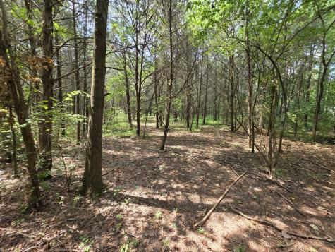 0 Old Hickory Boulevard Nashville TN 37207
