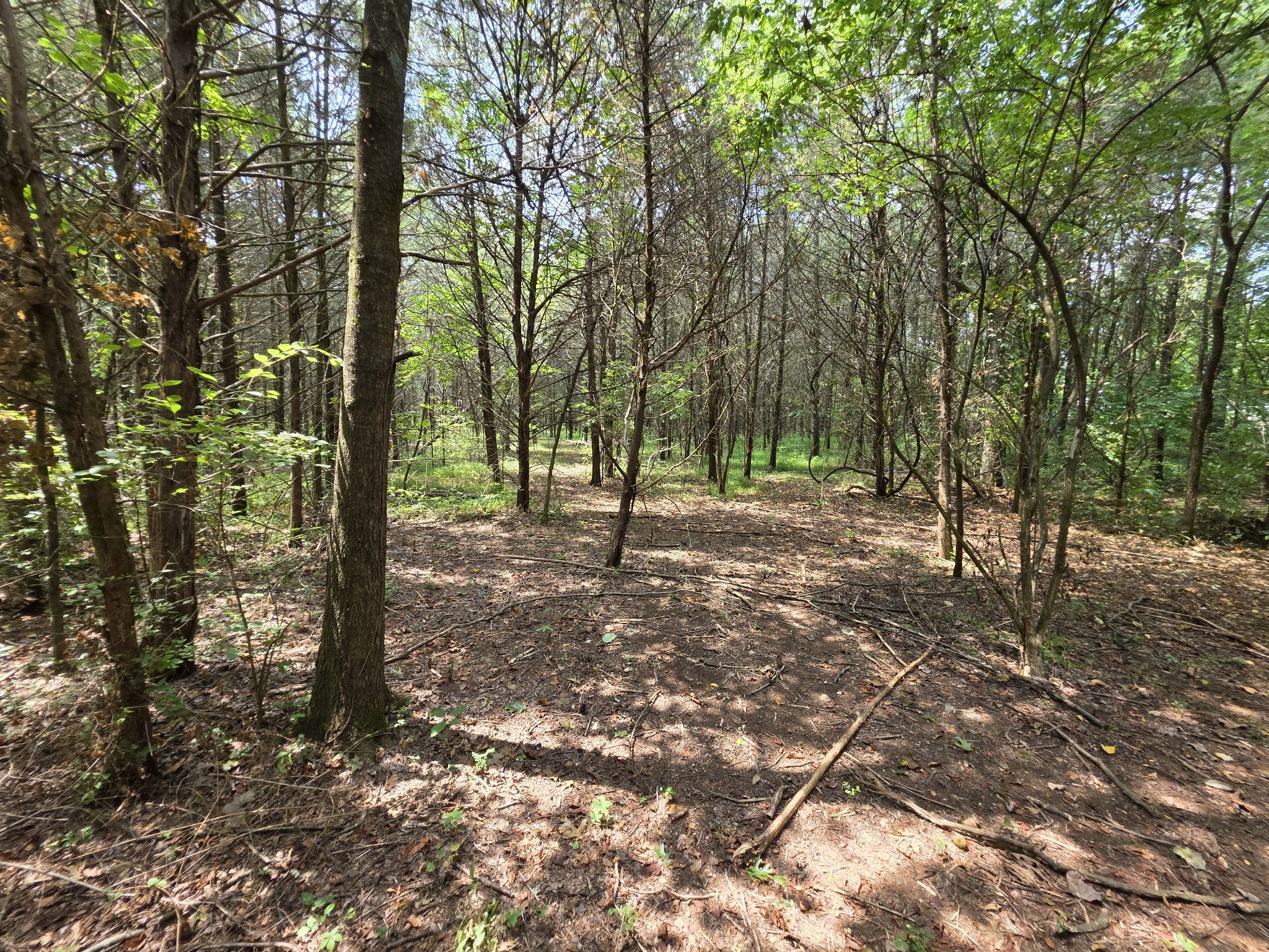 0 Old Hickory Boulevard Nashville TN 37207