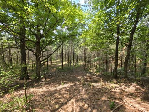 0 Old Hickory Boulevard Nashville TN 37207