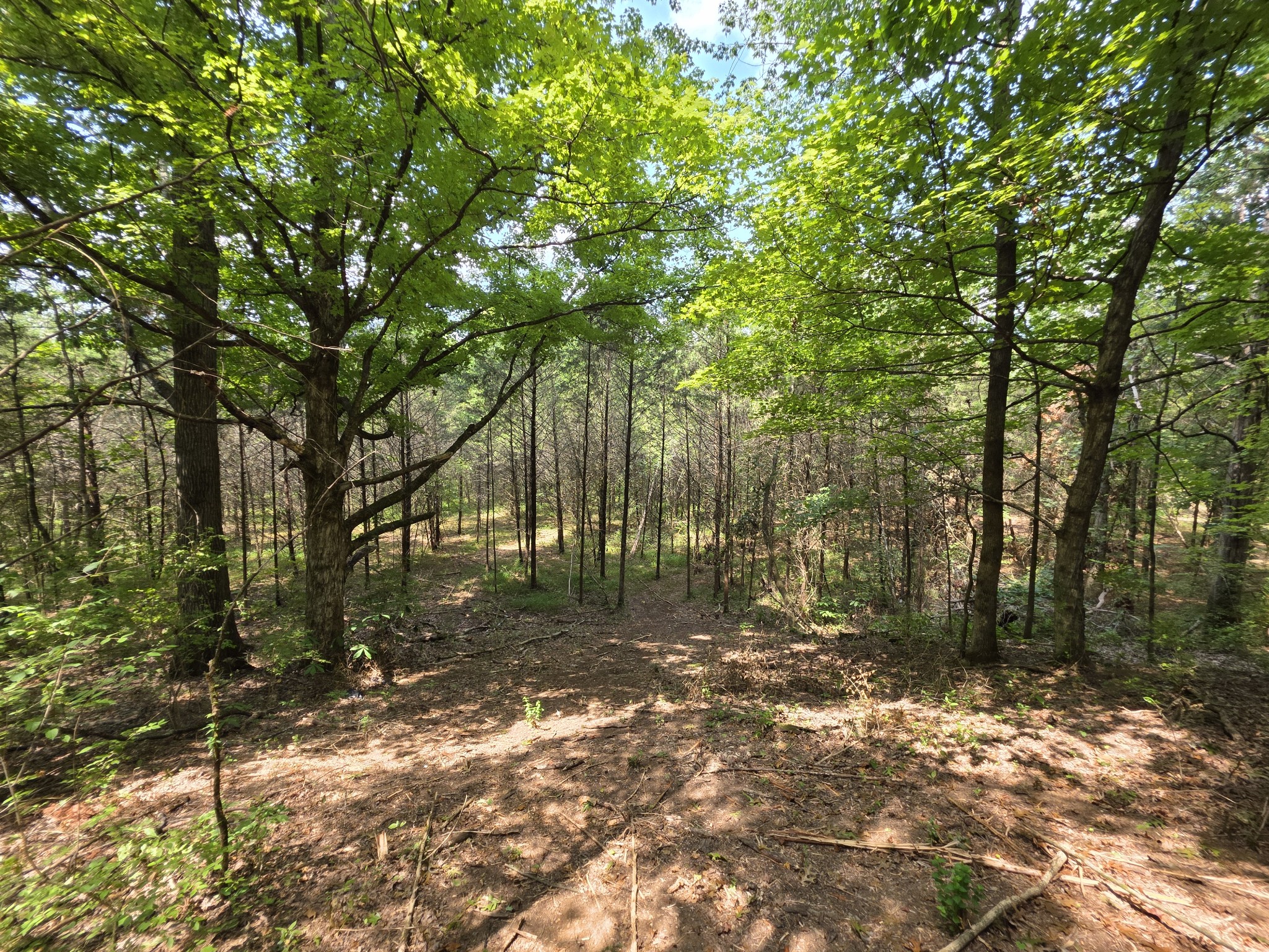 0 Old Hickory Boulevard Nashville TN 37207