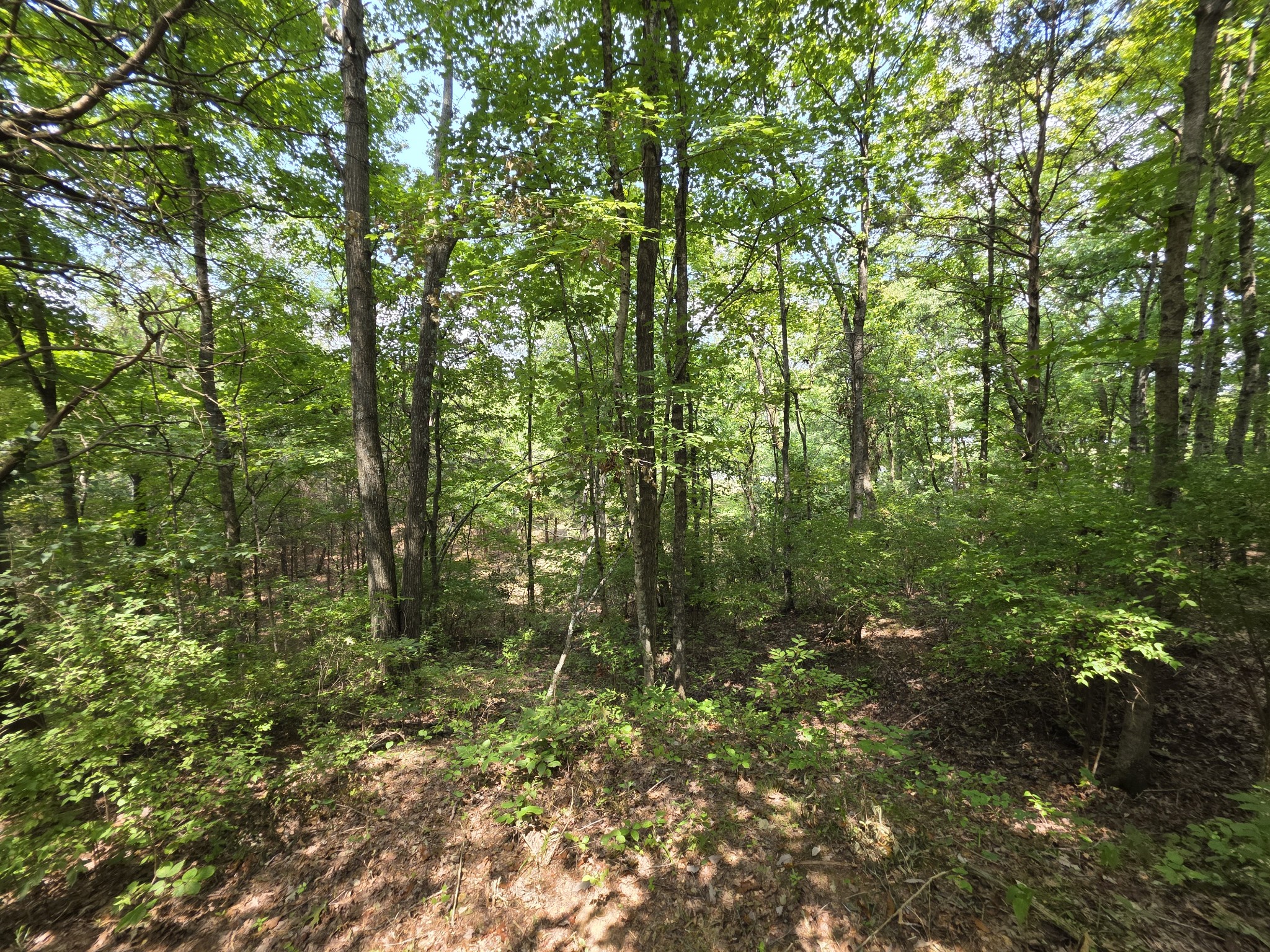 0 Old Hickory Boulevard Nashville TN 37207