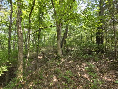 0 Old Hickory Boulevard Nashville TN 37207