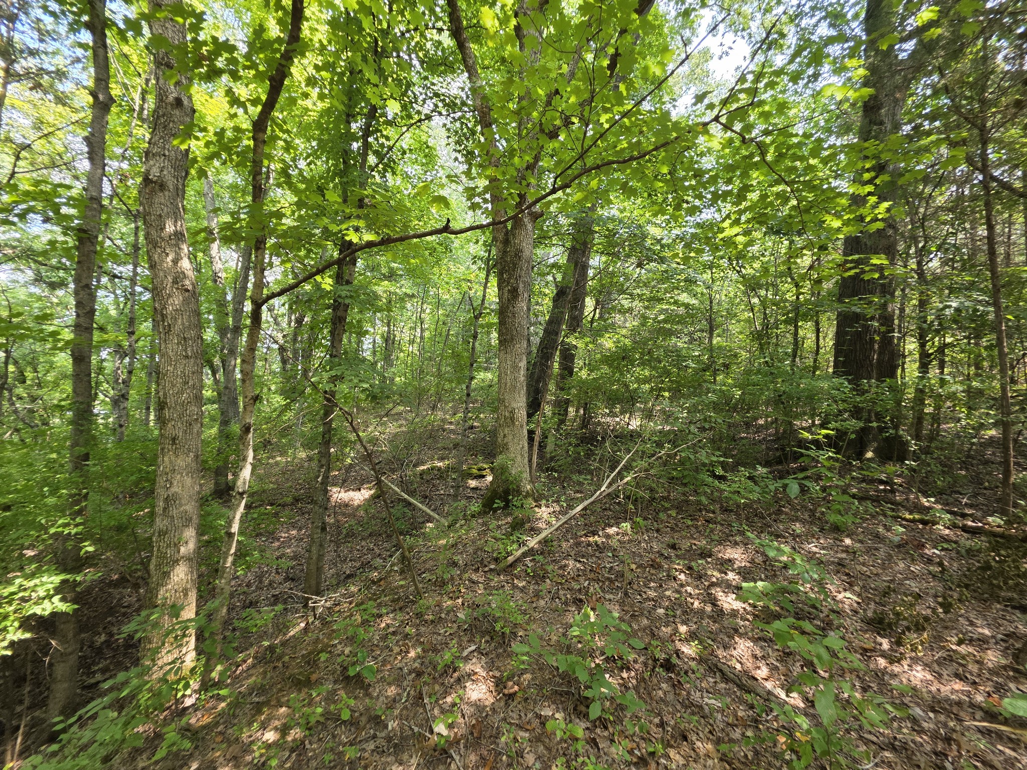 0 Old Hickory Boulevard Nashville TN 37207