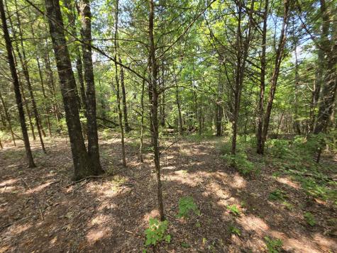 0 Old Hickory Boulevard Nashville TN 37207