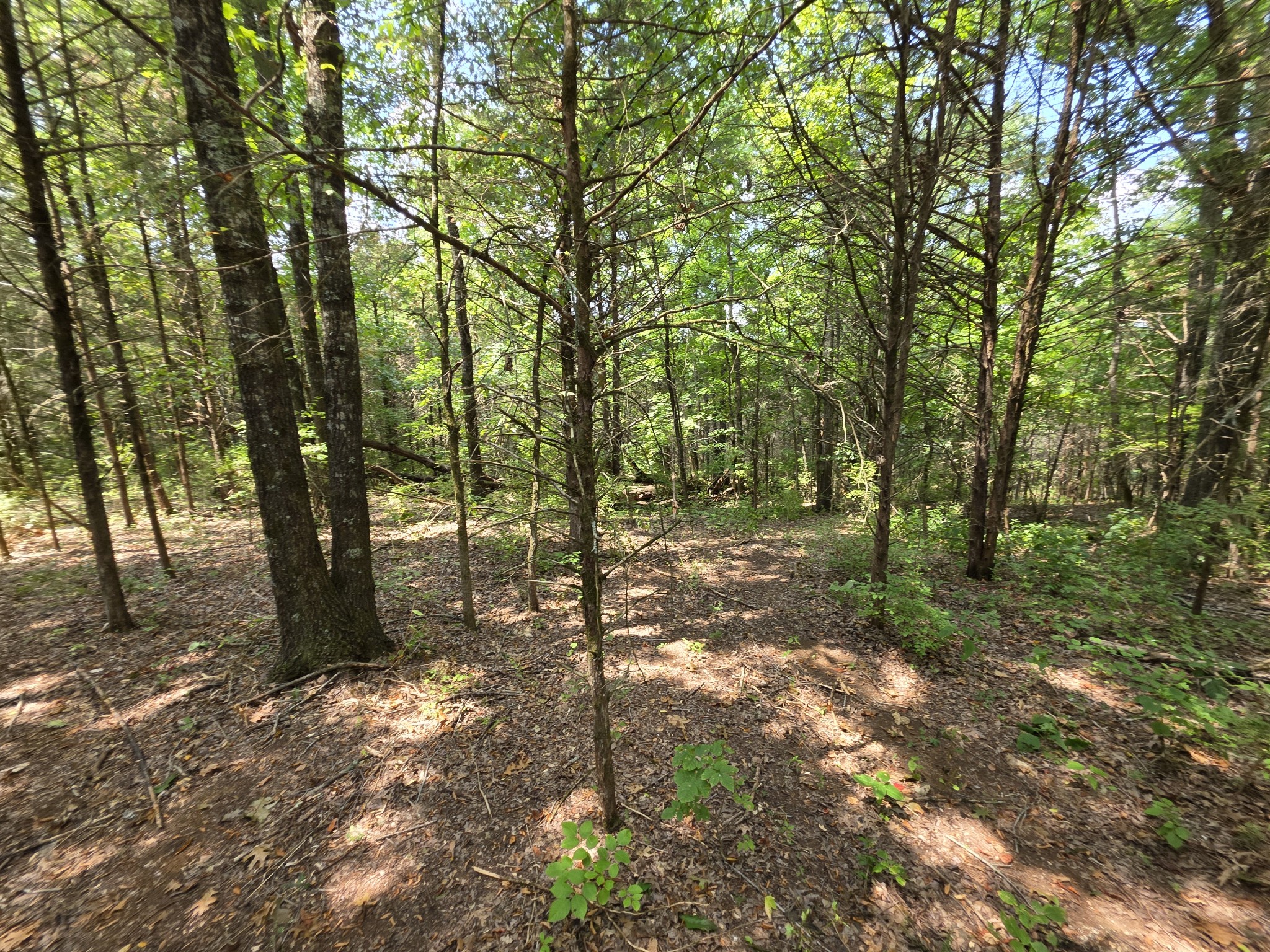 0 Old Hickory Boulevard Nashville TN 37207