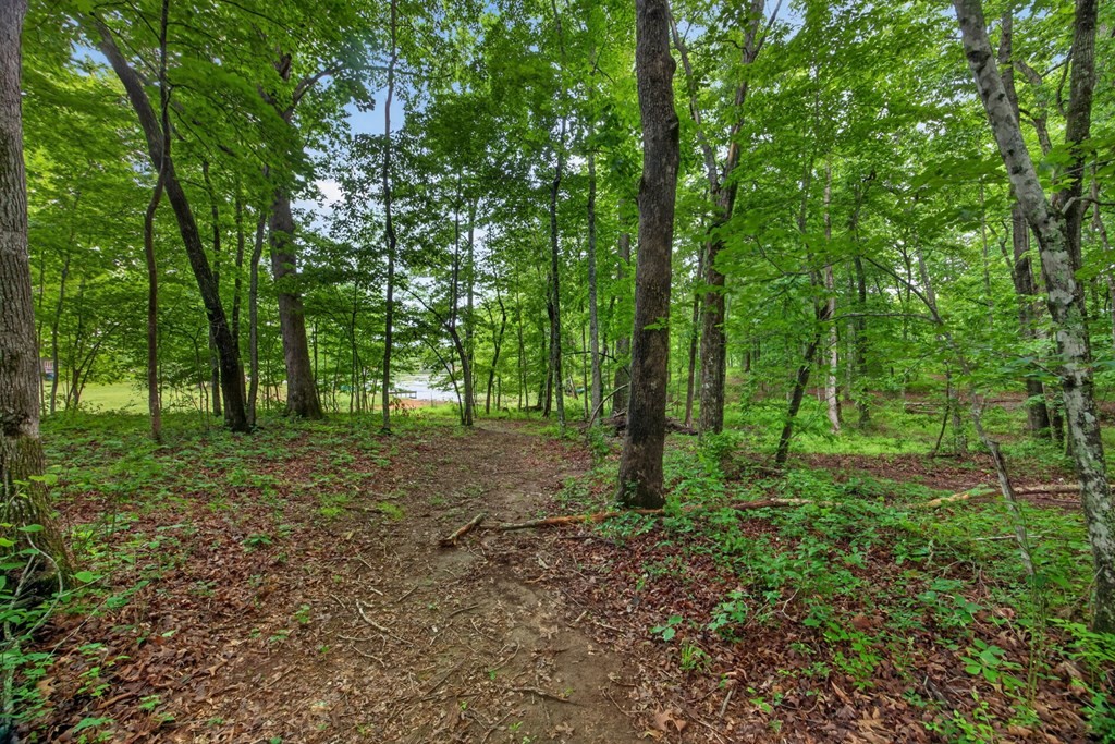 1211 Camp Belle Air Road Sparta TN 38583