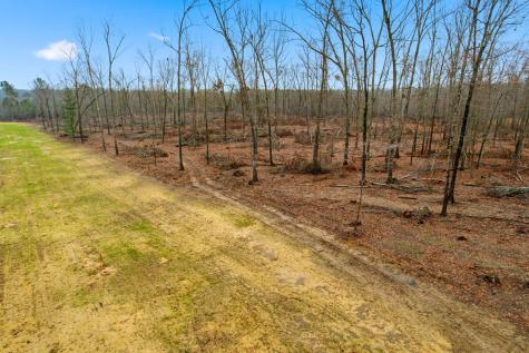 0 Whitaker Lane Belvidere TN 37306