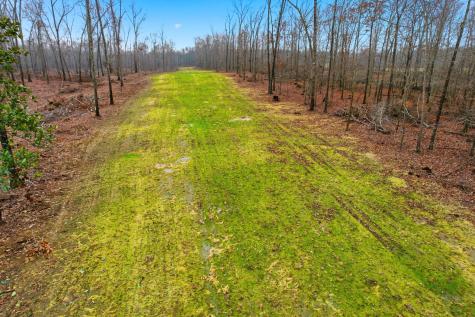 0 Whitaker Lane Belvidere TN 37306