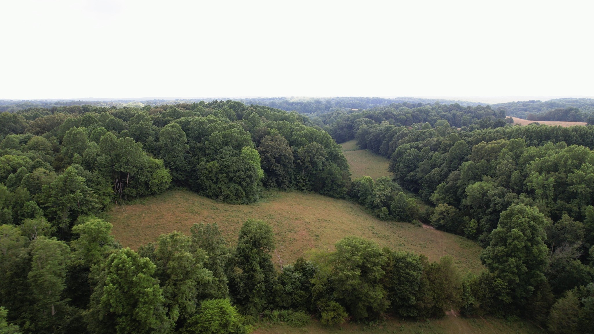 2331 Pleasant Grove Road Westmoreland TN 37186