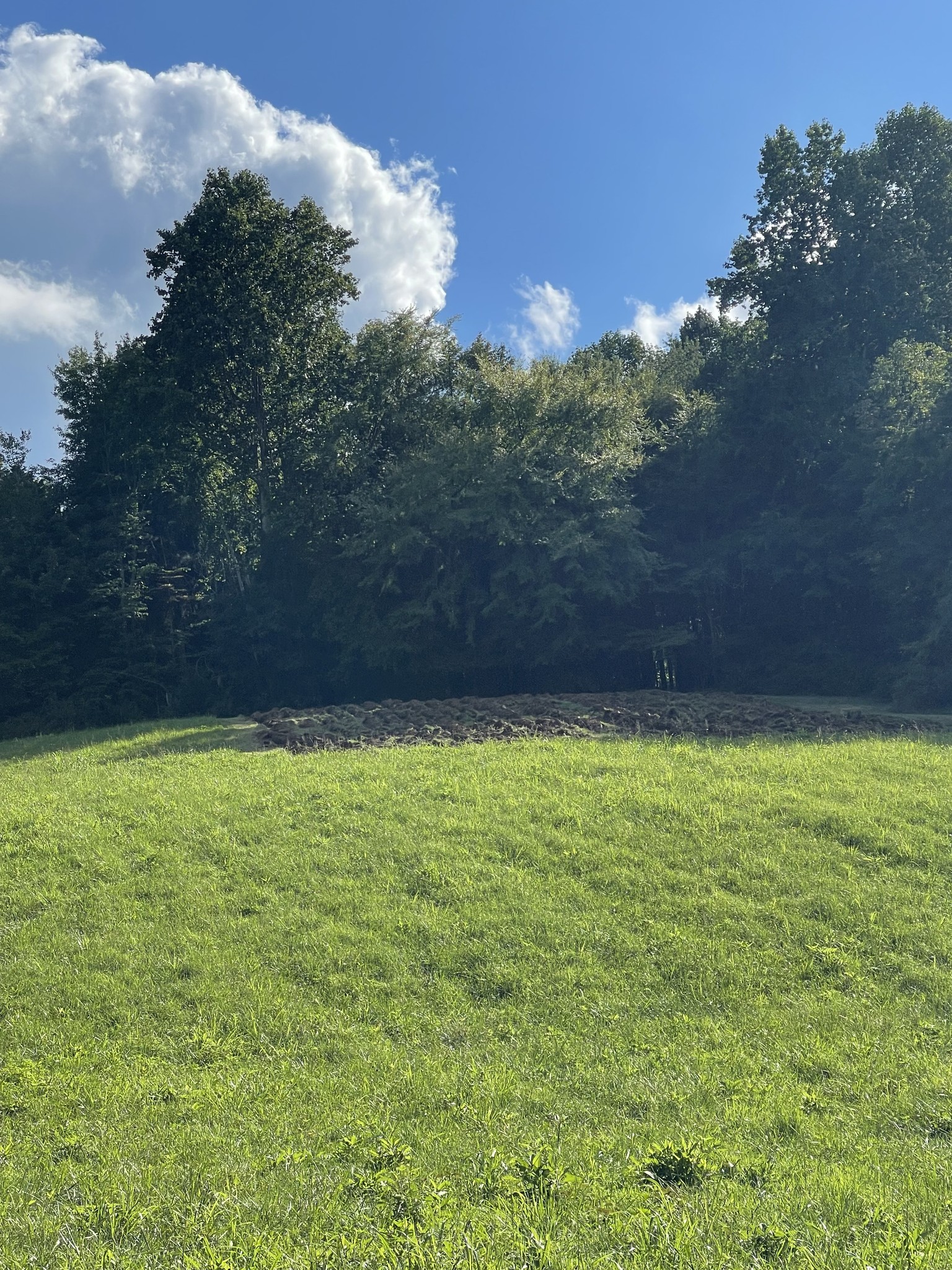 2331 Pleasant Grove Road Westmoreland TN 37186