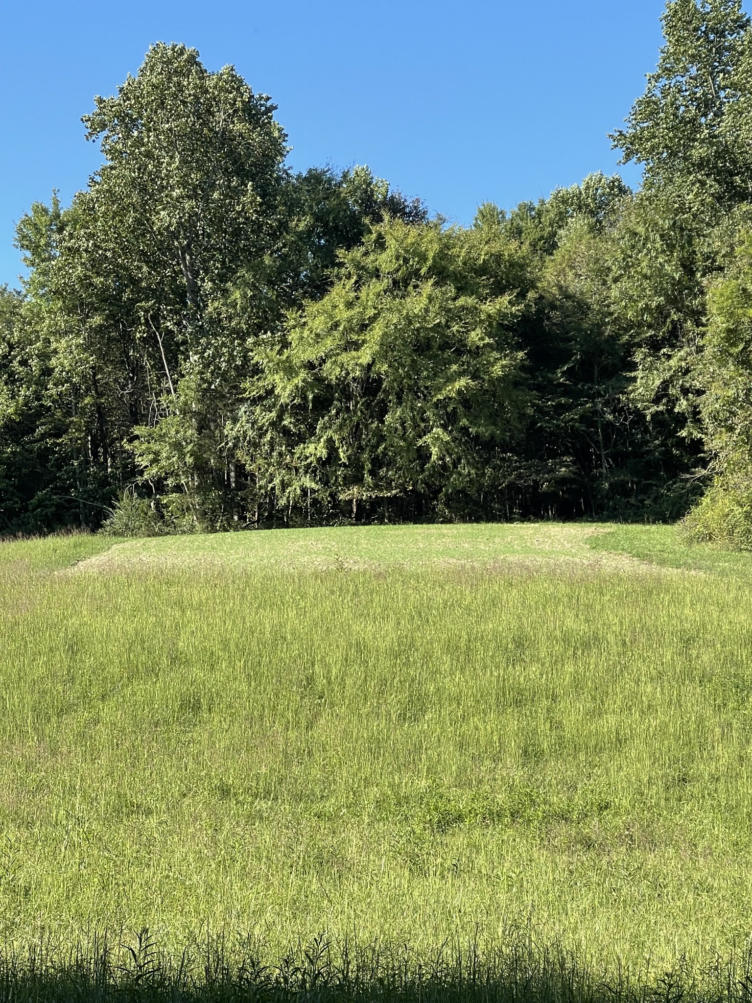 2331 Pleasant Grove Road Westmoreland TN 37186