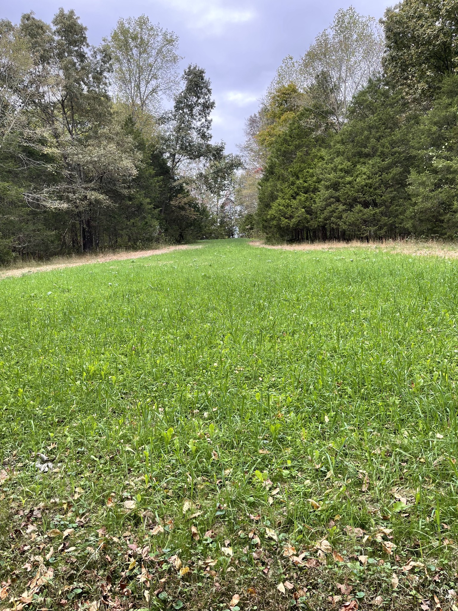 2331 Pleasant Grove Road Westmoreland TN 37186