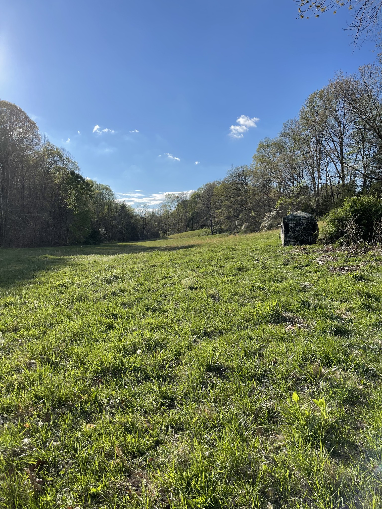 2331 Pleasant Grove Road Westmoreland TN 37186