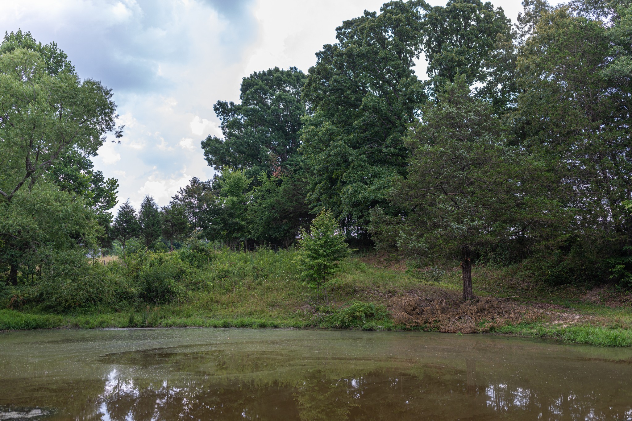 2331 Pleasant Grove Road Westmoreland TN 37186