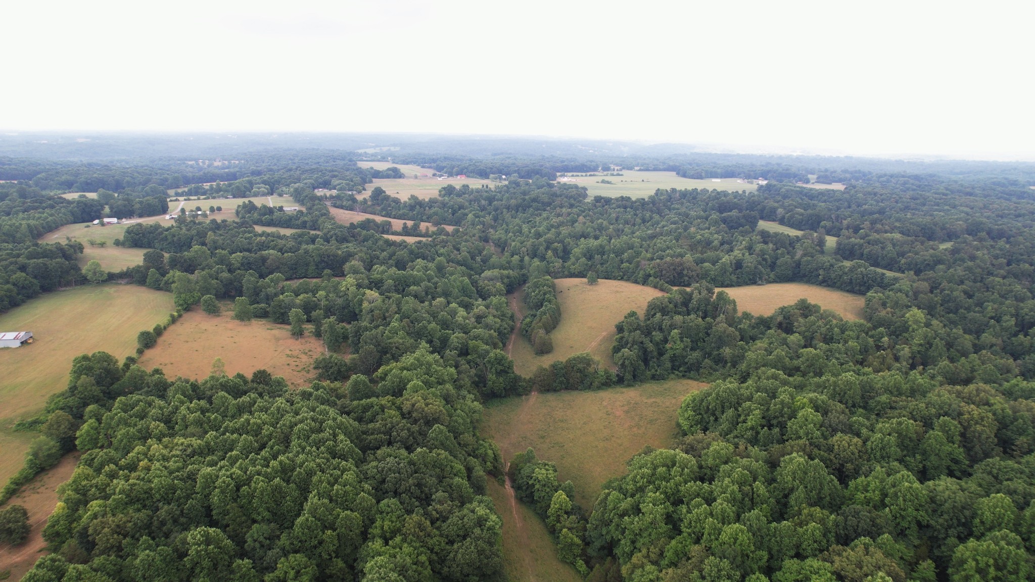 2331 Pleasant Grove Road Westmoreland TN 37186