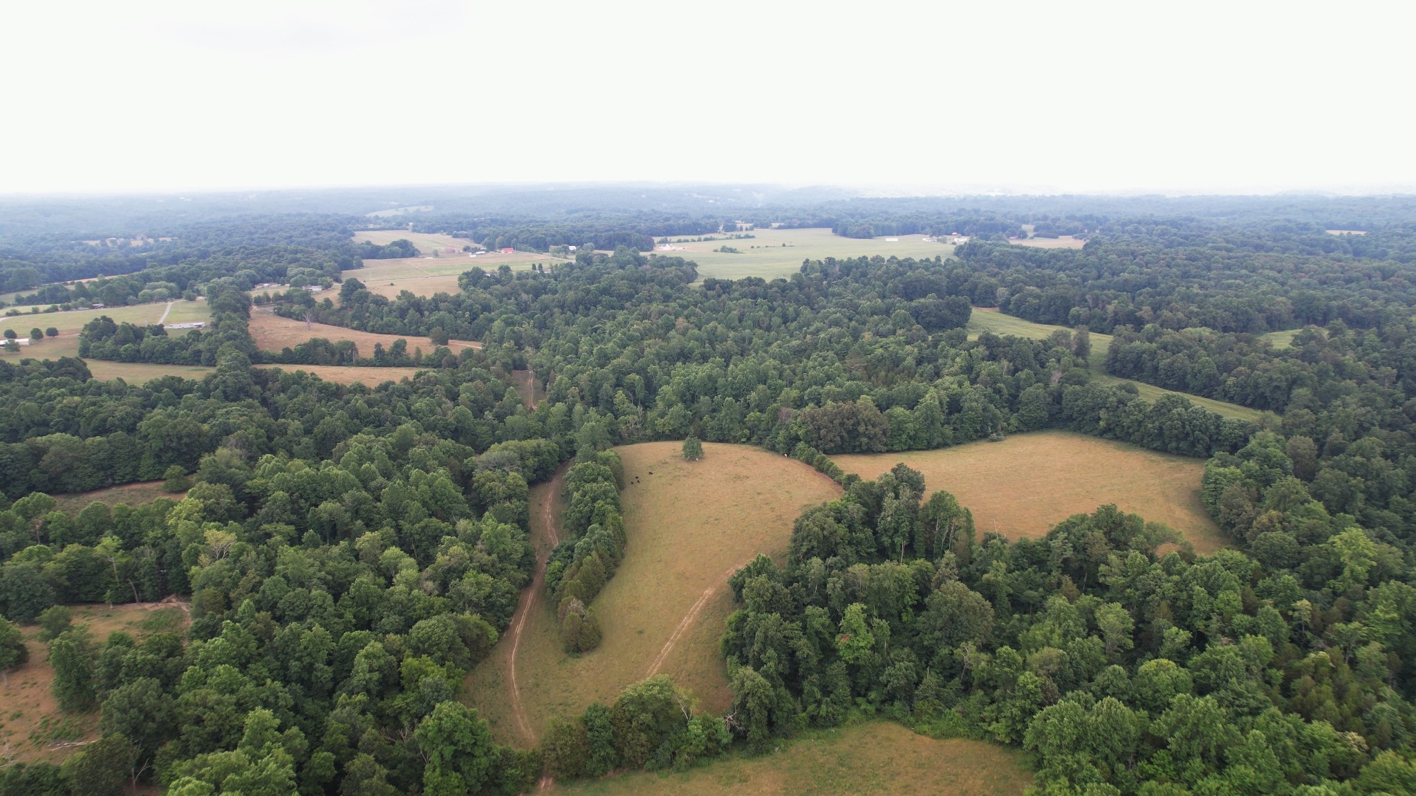 2331 Pleasant Grove Road Westmoreland TN 37186